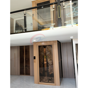 2-6 मंजिला आउटडोर इलेक्ट्रिक आवासीय घर लिफ्ट सस्ती कीमत यात्री लिफ्ट - Product Image 6