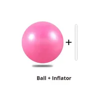 Ballon de Pilates/Yoga Mini en PVC de 25 cm, Anti-éclatement, Épaissi, Givré, pour l'Équilibre, le Fitness et le Rehaussement des Hanches