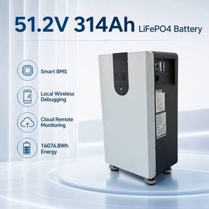 แบตเตอรี่ LiFePO4 51.2V 314Ah 15Kwh พร้อมระบบจัดการแบตเตอรี่อัจฉริยะ (BMS) และระบบตรวจสอบผ่านคลาวด์ สำหรับการจัดเก็บพลังงานภายในบ้าน - Product Image 1
