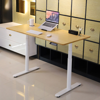 Bureau de travail électrique intelligent 2DF3, ergonomique, réglable en hauteur, bureau debout pour ordinateur, bureau de travail électrique pour la maison, meubles