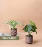 Pots en céramique de style nordique pour plantes Conception de bassin ventilé pour Cactus Couvercles de pots de fleurs succulentes pour la maison et le jardin