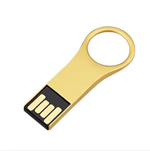 Metal anahtarlık kral U Disk Metal su geçirmez yüksek hızlı USB Flash sürücü/kalem sürücü fabrika ücretsiz lazer gravür logosu
