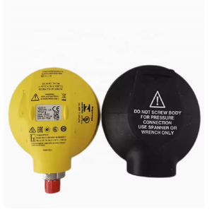 เกจวัดดิจิตอล DPI 104-IS 20K psi รุ่นใหม่ล่าสุด - Product Image 4