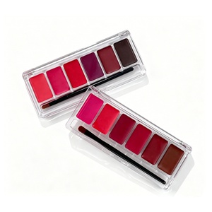 Paleta de Labiales en Crema de 6 Colores, Marca Privada, Larga Duración, Alta Pigmentación, Maquillaje Labial con Pincel - Product Image 5