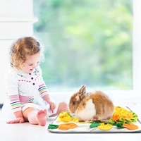 Tapis de jeu interactif amusant pour lapin en polaire lavable