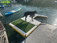 Gonflable Chien Rampe Piscine Dock Plate-forme Escaliers Grand Flottant Eau Botes Tipo Jouer Chien pour Bateau