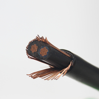 2 core 0.6/1kv kupfer kabel mit neutral abgeschirmt