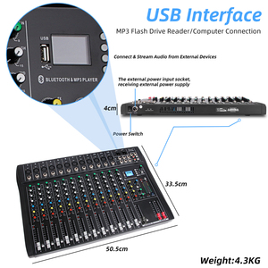 Console de mixage DJ professionnelle OEM DT12, entrée MP3, alimentation fantôme 48V, mixeur audio 12 canaux - Product Image 5