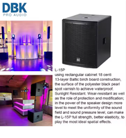 DBK Bass Box 1000W Caisson de basses actif de 12 pouces Caisson de basses alimenté en bois personnalisé pour concert sur scène