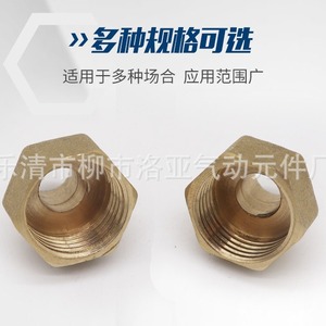 Adaptateur fileté en laiton mâle-femelle 1 2 3 4 6 pour raccordement de tuyauterie - Product Image 3