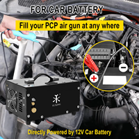 Compresor de Aire para Paintball y Caza PCP de 30mpa 4500psi 300bar 12V con Transformador Integrado y Parada Automática, Personalizado con el Logotipo de Fábrica TUXING