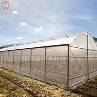 Shengqiang - Poly Tunnel Single Span Greenhouse Steel Pipe Structure Grow Tent Farm Green House