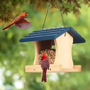 Western Red Cedar Ranch DIY Bird Feeder Kit for Kids to Build - Wood Birdhouse Building Kits with Hanging Rope, Paints
