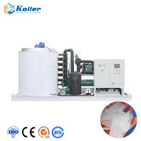 Machines à glace sèche Koller Dry Pure Ice Flake pour usine, machine à glace produisant 20 tonnes par 24 heures