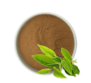 Free Shipping 1Pack 100pcs <strong>Green</strong> Tea <strong>Extract</strong> + <strong>Green</strong> Coffee Beans <strong>Apple</strong> Cider Vinegar Powder Herbal <strong>Extract</strong> Health Food Grade - Product Image 5