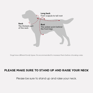 الأعلى مبيعًا ملابس جينز فاخرة للحيوانات الأليفة سترة كلب دينم شعبية بلون واحد حزام الحيوانات الأليفة طباعة مخصصة زوجين الحب - Product Image 6