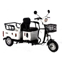 VENTE FLASH 600W 48V Tricycle cargo électrique 3 roues Vélo électrique vintage Longue portée Livraison Ebike avec grand panier