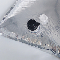Sac BIB en aluminium personnalisé avec système de distribution de sirop, connecteur en plastique pour cola, sac aseptique pour emballage de jus