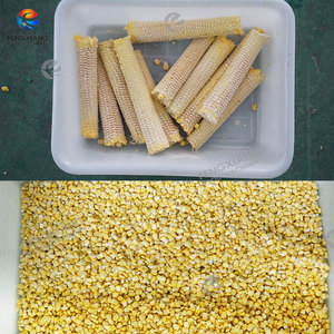 Quy mô nhỏ hạt nhân chế biến tươi Ngô đập blanching khử nước máy ngô ngọt dây chuyền sản xuất - Product Image 6