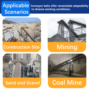 Rouleau de convoyeur tampon en nylon non alimenté en polyéthylène à haut poids moléculaire pour ceinture non métallique pour utilisation en usine de fabrication - Product Image 5