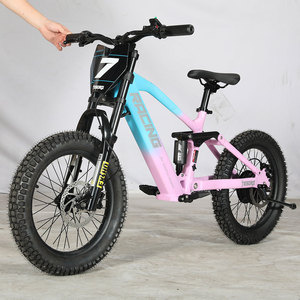 TESORO Lianmei Vélo Tout-Terrain Électrique Sans Balais pour Ados et Enfants, 18 et 20 Pouces, 36V 350W - Product Image 2