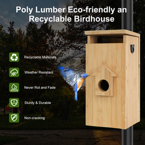 Offre spéciale Mangeoire à oiseaux sauvage à panneau solaire avec caméra - Product Image 4