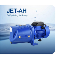 DAYUAN 0.75KW 1HP Pompe à eau auto-amorçante à jet à haute pression, pompe électrique de surface pour l'irrigation agricole