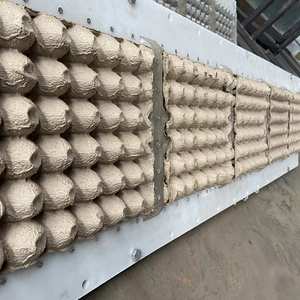 기계 금속 건조 라인을 만드는 고품질 소형 폐지 재활용 종이 계란 트레이 - Product Image 4