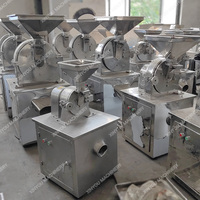 Industriële gedroogde vruchtenmolen, cacaomolen, droge knoflook-, kurkuma-, gembermolen, moringa-blad- en uienpoedermachine