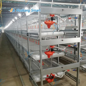 Jaulas de pollo tipo H galvanizadas en caliente Jaula de gallo automatizada Equipo de granja avícola Fabricantes chinos - Product Image 3