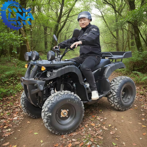 Cuatrimoto de Gasolina de 250cc Lista para Enviar, Potente y Rápida, Ideal para Negocios de Alquiler - Product Image 6