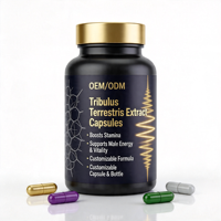 Extrait de Tribulus Terrestris en capsules dures OEM ODM, marque privée, en vrac, complément nutritionnel pour soutenir l'énergie masculine