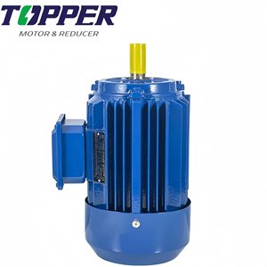 Motor de Inducción Trifásico con Certificación IE4 CE CCC, Motores Asíncronos para Máquinas de Empaque - Product Image 2