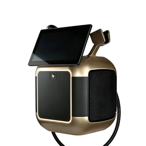 Meilleur produit d'épilation au laser diode, appareil d'épilation, Nelectric portable 2 en 1, produits pour éliminer les poils permanents pour les hommes - Product Image 4