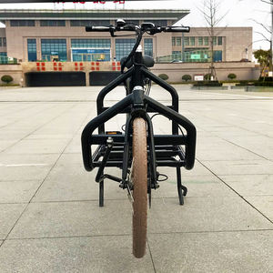 Triciclo de bicicleta de carga de 2 ruedas con pedal de marco de acero reforzado de 24 pulgadas con certificado CE - Product Image 3