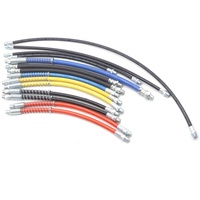 ZM 0285 Tuyau de graissage flexible bleu de 12 po le plus vendu pour graisse et résine, 9x300mm avec ressort sans raccord