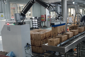 <span class=keywords><strong>Robot</strong></span> de palettisation électrique collaboratif pour sacs de 25 kg/50 kg, canettes, cartons, films, contrôlé par PLC, facile à utiliser, haute sécurité, pour le tabac et les produits alimentaires - Product Image 4