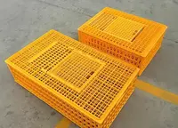 Plastik güvercin tavuk eğitim kutusu taşıma kafesi güvercin kuş tuzak kafesi PH-178