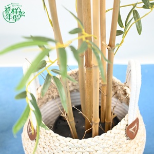 Elegante Bambú Artificial en <span class=keywords><strong>Maceta</strong></span> <span class=keywords><strong>de</strong></span> 150 cm, Planta Bonsái Realista para Decoración <span class=keywords><strong>de</strong></span> Interiores, Exteriores, Jardín y Hogar, Pieza Decorativa - Product Image 3