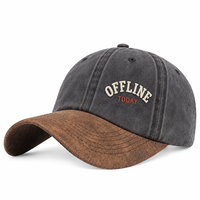 Casquettes promotionnelles personnalisées en suède avec logo brodé en relief pour équipe d'entreprise, cadeaux d'événement, marchandises pour adultes, vente en gros