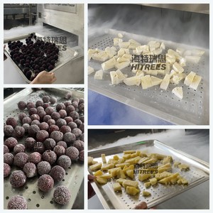 IQF Đóng Băng Thiết Bị Đèn Flash Đông Lạnh Máy Nitơ Lỏng Đường Hầm Tủ Đông - Product Image 5