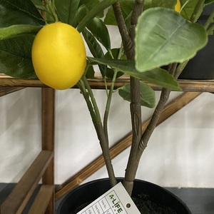 ต้นมะนาวประดิษฐ์กับผลไม้พืชในร่มที่สวยงามพร้อมคุณสมบัติเหมือนชีวิต - Product Image 3