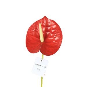 Fleur artificielle Anthurium, vase imprimé en 3D, fleurs pour mariage, décoration de salon, art floral - Product Image 5