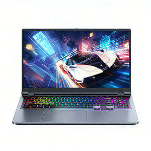 Ordinateur portable de jeu OEM Processeur Intel N95 Carte graphique dédiée GTX1060 6 Go 8 Go 16 Go 32 Go de RAM 128 Go 512 Go 2 To SSD Écran 16 pouces - Product Image 3