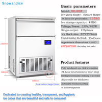 Machine à glaçons carrés commerciale avec compresseur, production de 135 kg/24h, haute précision, automatique, stockage de 45 kg de glace, puissance de 618W, 220V/110V