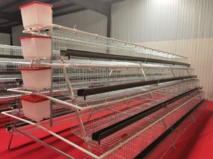 Puertos de fácil alimentación de acero resistente a la oxidación, ideales para patio trasero residencial, jaula de gallina multicapa duradera - Product Image 6