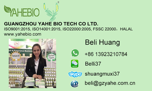 Fruit Flower Flora Hotel Aceites de aroma para el hogar Oficina Difusor Fuerte Venta a granel en kg Precio de fábrica Miles de aceites de fragancia - Product Image 6