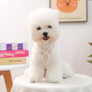 우아한 진주 애완동물 목걸이, 하트 크리스탈 펜던트 강아지 & 고양이 목걸이, 소형 애완동물을 위한 조절 가능한 장신구 - Product Image 5