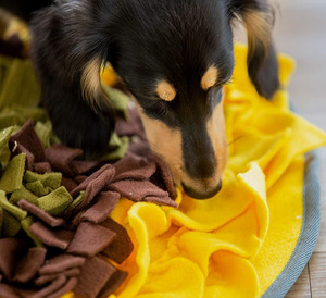 Dog Snuffle Mat Toy <b>Slow</b> <b>Feeder</b> Puppy Chew Toys Keep Busy Sniffing Mat for All Breeds Sizes Pet Snuffle Mat for Dogs Cats - Product Image 4