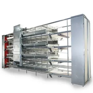 Factory Price Layer Chicken Cages H Type Automatic Cage System Poultry Farm Equipment